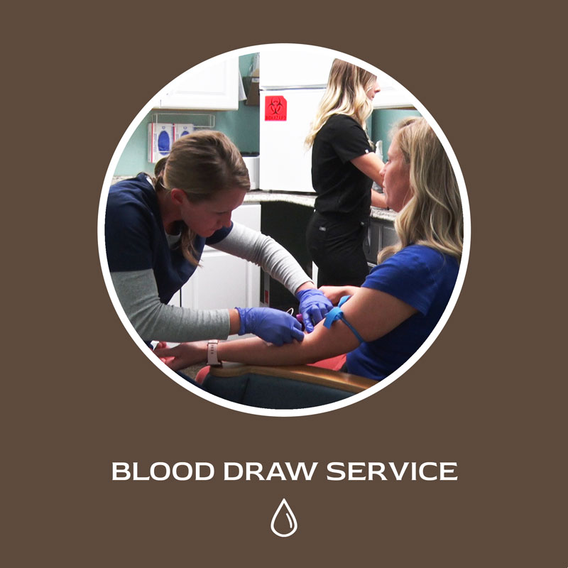 family clinic of natural medicine about us blood draw service image